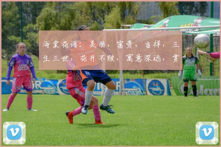 海棠花语：美丽、富贵、吉祥，三生三世，花开不败，寓意深远，赏心悦目。