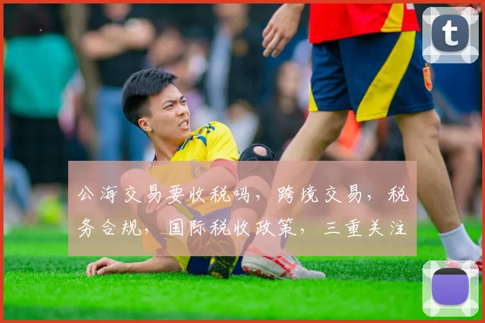 公海交易要收税吗，跨境交易，税务合规，国际税收政策，三重关注