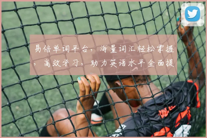 易倍单词平台，海量词汇轻松掌握，高效学习，助力英语水平全面提升，三步突破词汇难关，成就英语达人