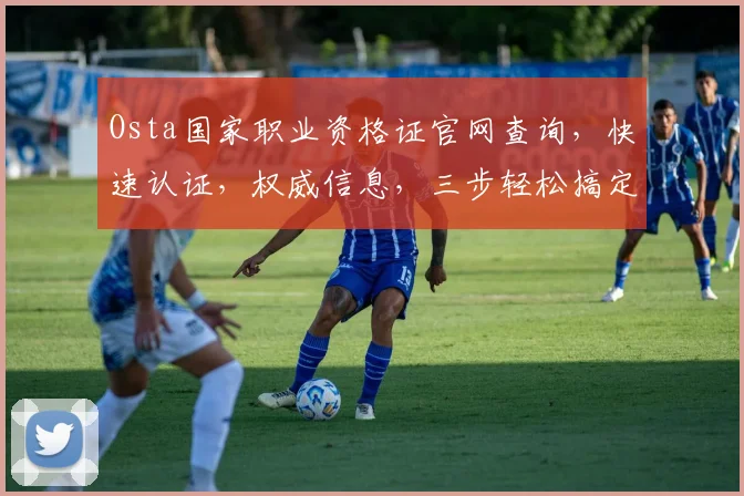 Osta国家职业资格证官网查询，快速认证，权威信息，三步轻松搞定，一网打尽