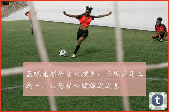 篮球竞彩平台大搜罗，正规应用三选一，让您安心赌球逗逗乐