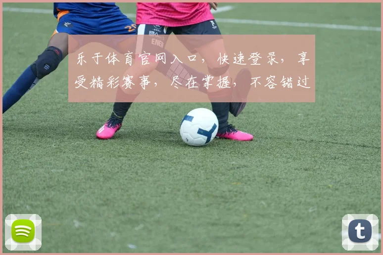 乐于体育官网入口，快速登录，享受精彩赛事，尽在掌握，不容错过